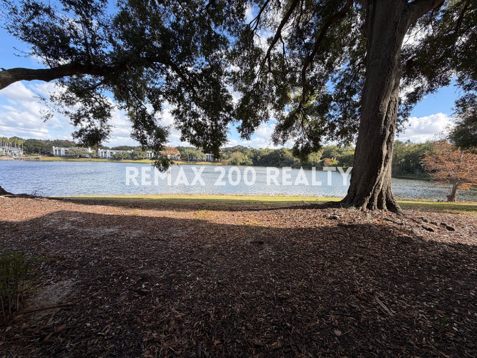 Beautiful First-Floor Condo property image