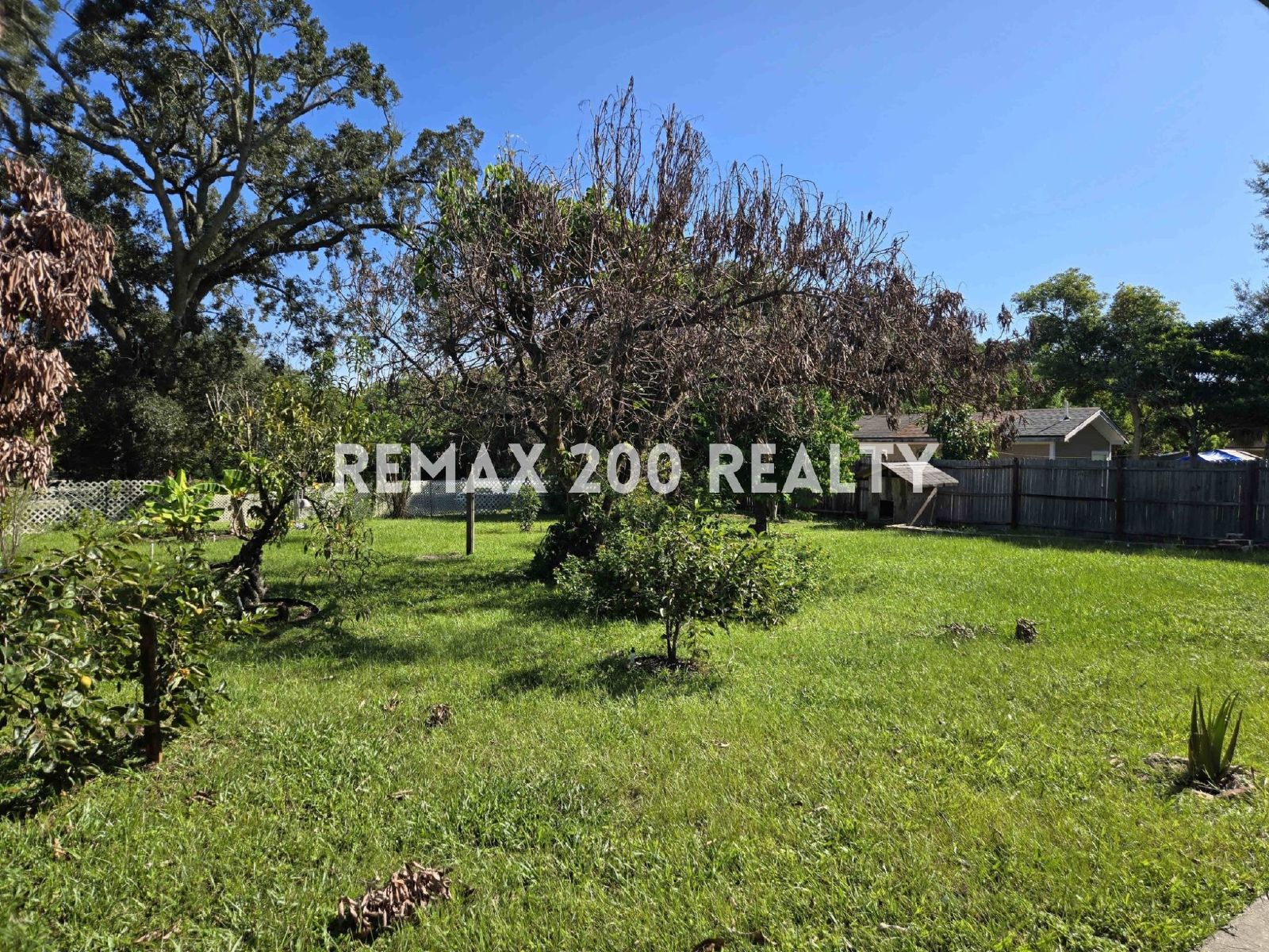 Beautiful 4-Bedroom, 3-Bath Home in Altamonte Springs property image